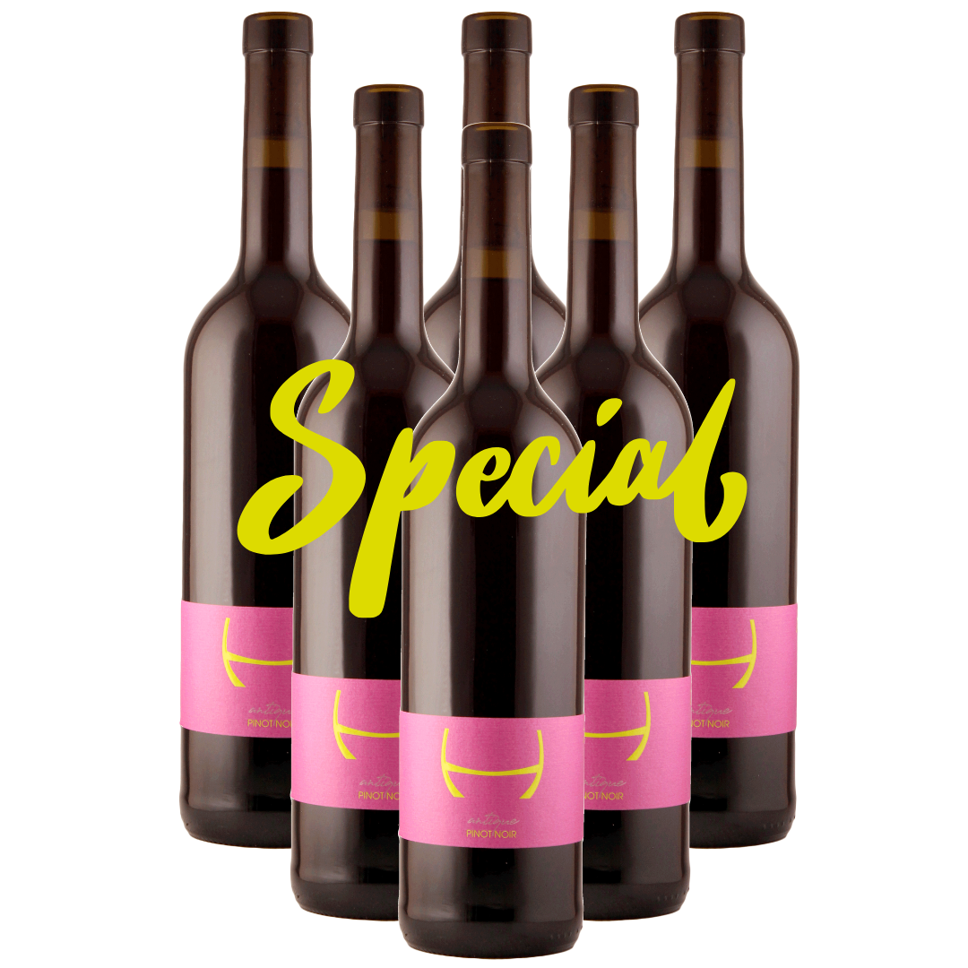 Special antique PINOT NOIR 6er