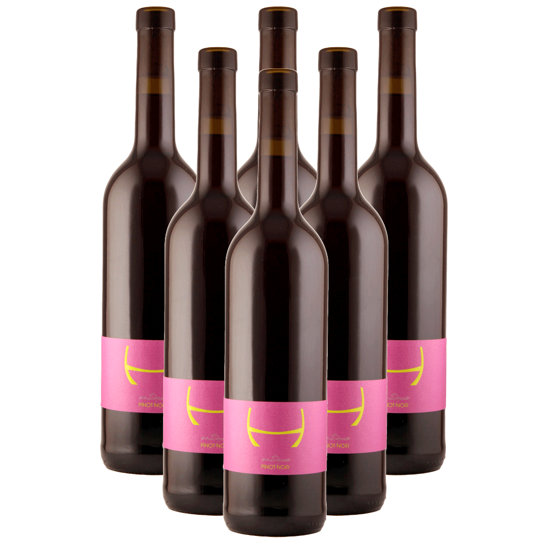 Special antique PINOT NOIR 6er